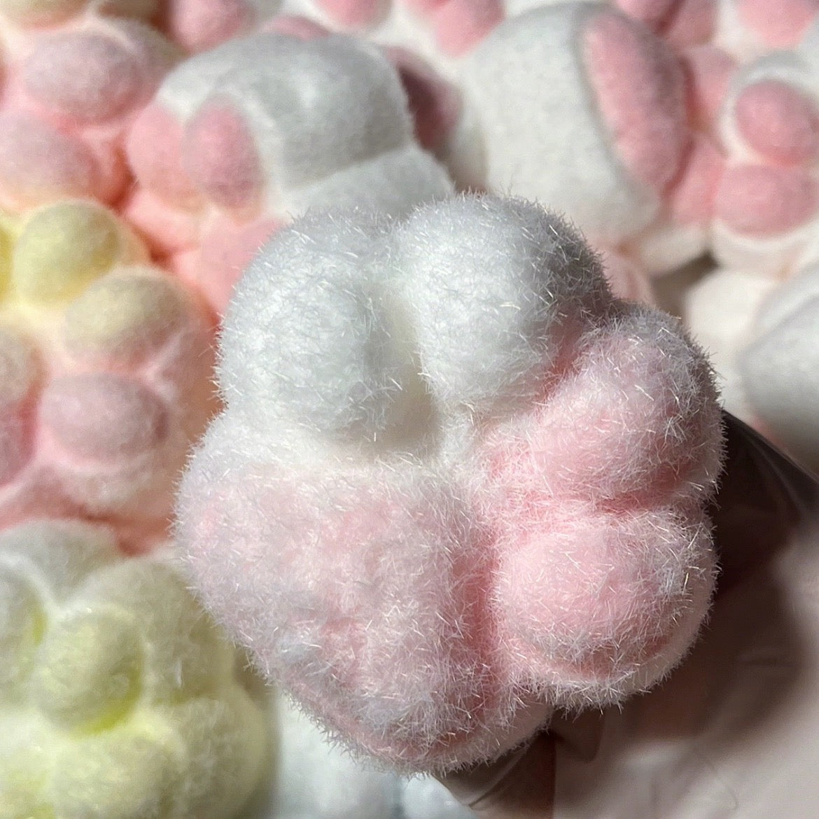 Cat Paw