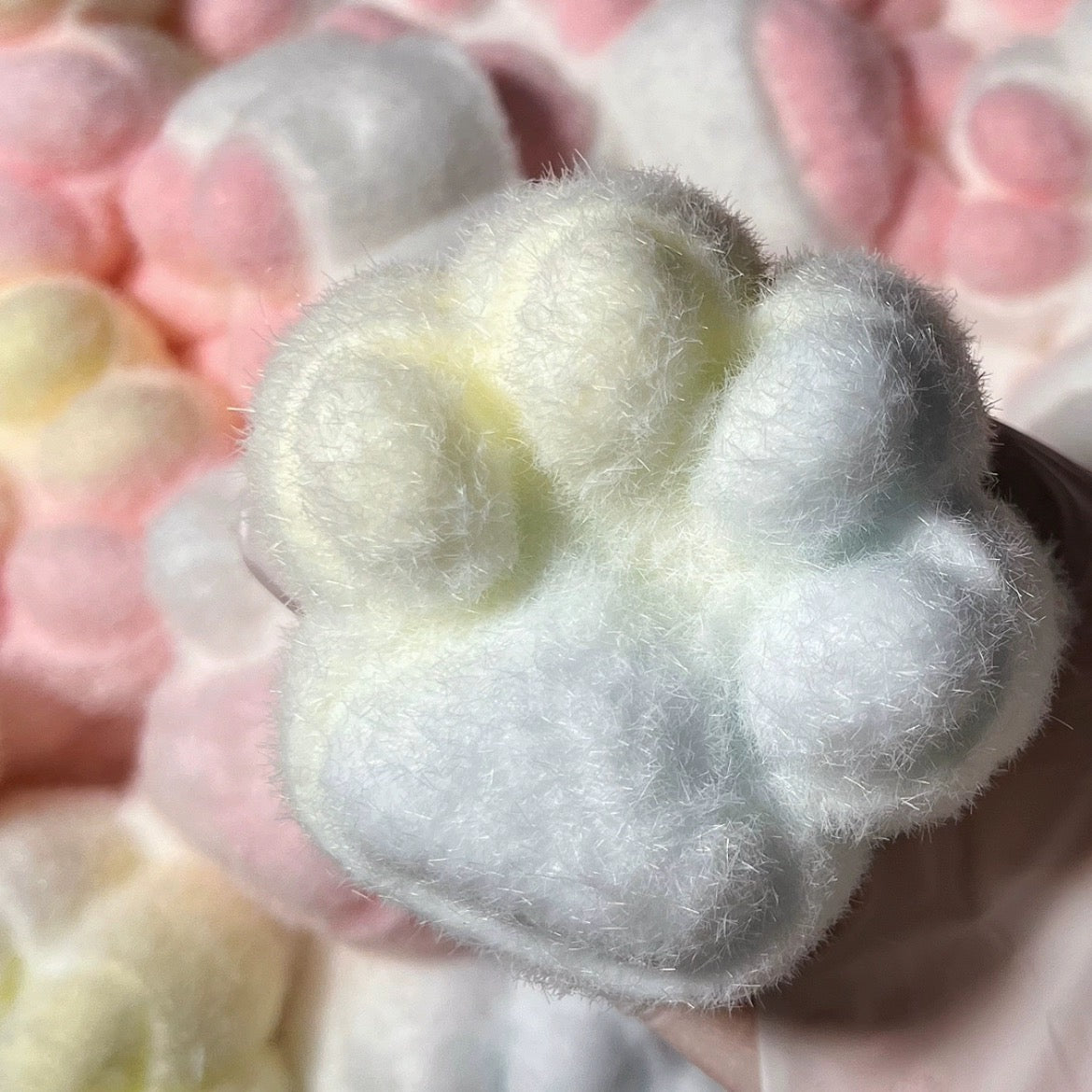 Cat Paw