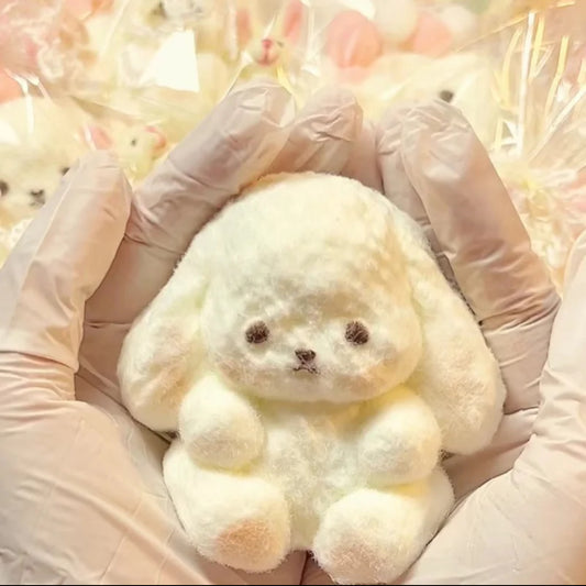 Cute Little Rabbit