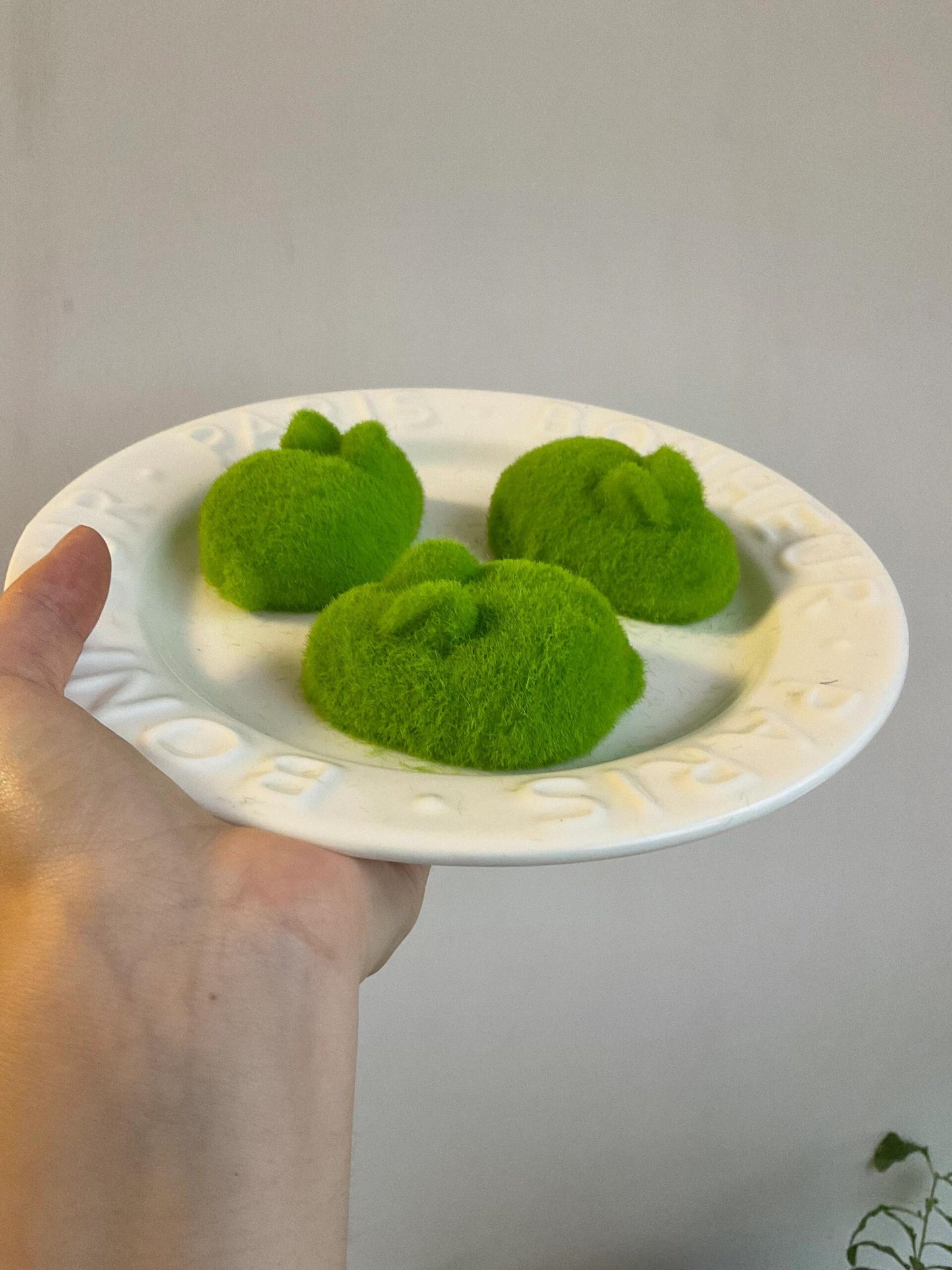 Fluffy Green Rabbit